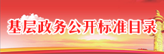 基層政務公開事項標準目錄
